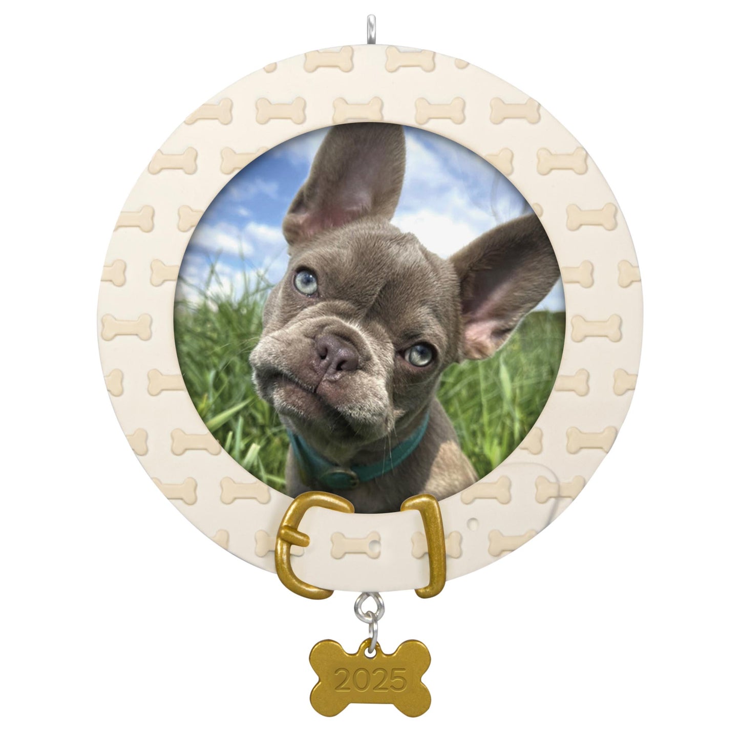 Faithful Friend, Photo Frame — 2025 Hallmark Keepsake Christmas Ornament