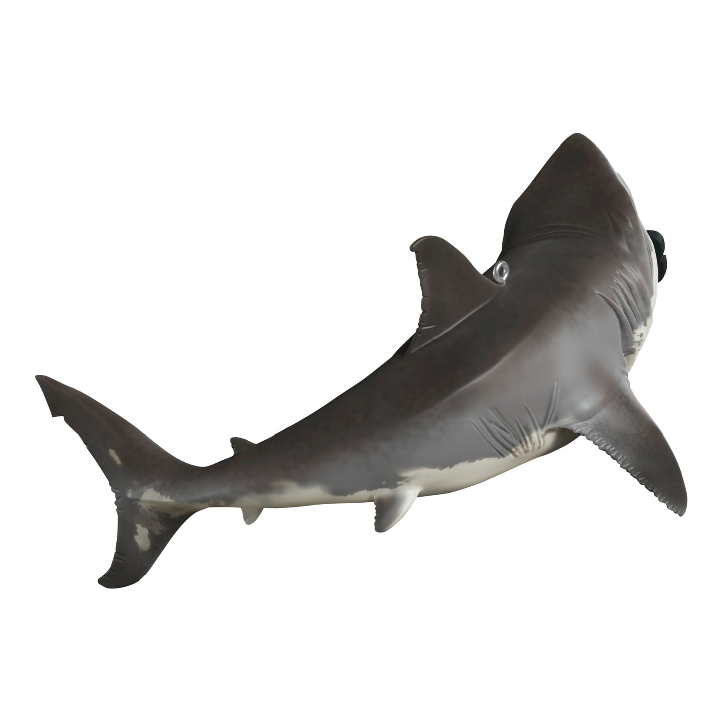 Discovery™ Shark Week™ — 2025 Hallmark Keepsake Christmas Ornament