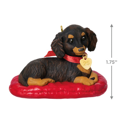Long-haired Dachshund, 35th in the Puppy Love Series — 2025 Hallmark Keepsake Christmas Ornament