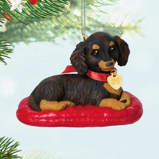Long-haired Dachshund, 35th in the Puppy Love Series — 2025 Hallmark Keepsake Christmas Ornament