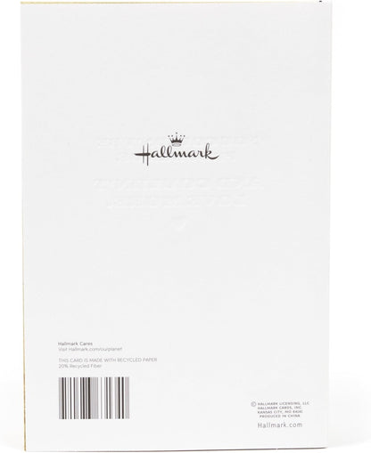 Hallmark Birthday Greeting Card for Son (Son Icons)