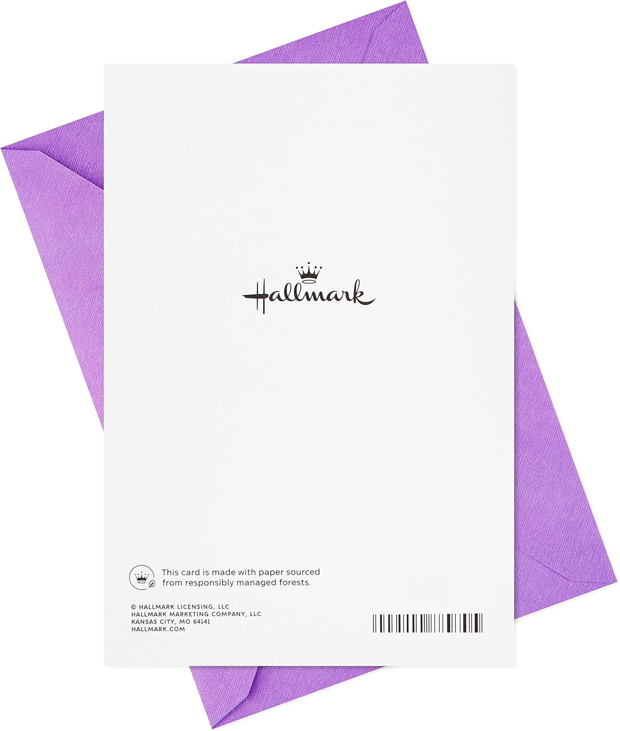 Hallmark Birthday Card for Sister (Life is a Gift) with purple envelope, showing back design and Hallmark logo.