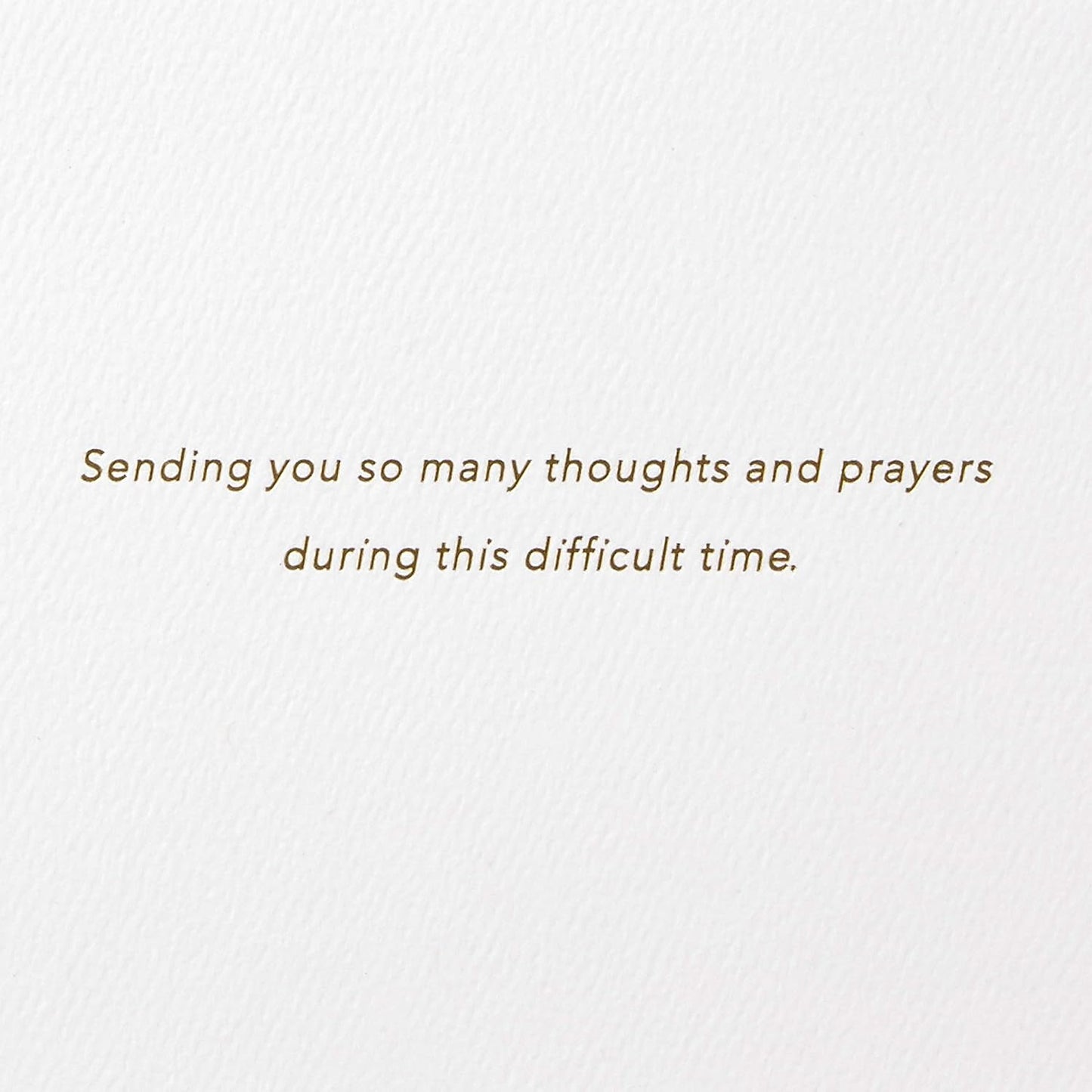 Hallmark Signature Sympathy Card (Many Thoughts and Prayers)