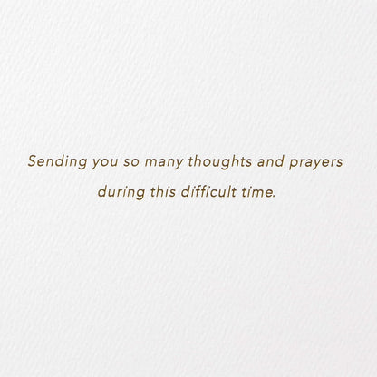 Hallmark Signature Sympathy Card (Many Thoughts and Prayers)
