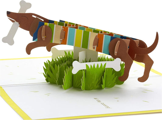 Hallmark Signature Paper Wonder Pop Up Birthday Card, Fathers Day Card (Dachshund, Happy All Day Long)