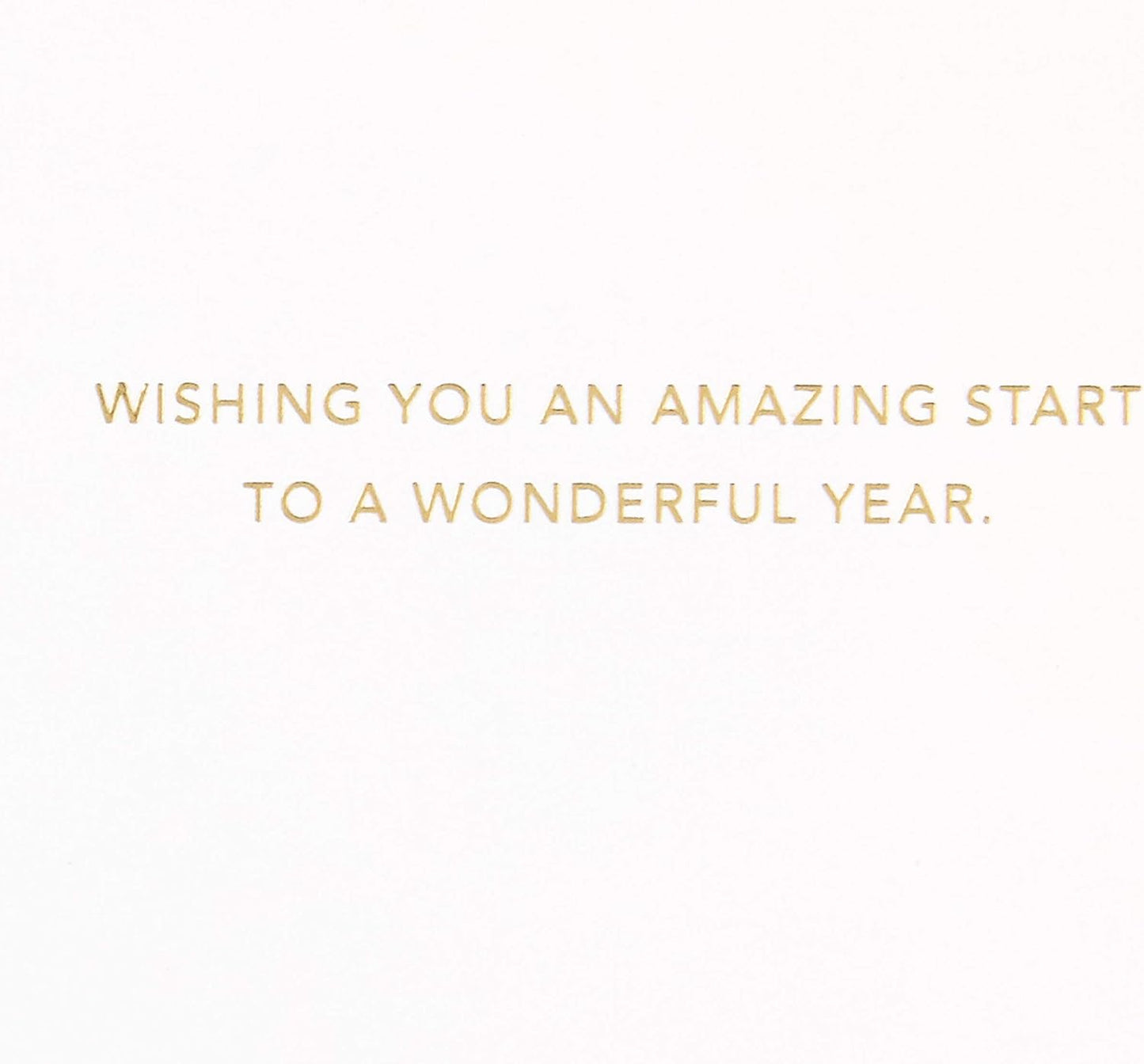 Hallmark Signature Birthday Card (Wonderful Year)