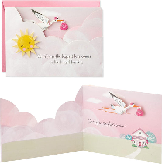 Hallmark Paper Wonder Paper Craft Baby Shower Card for Baby Girl (Stork)