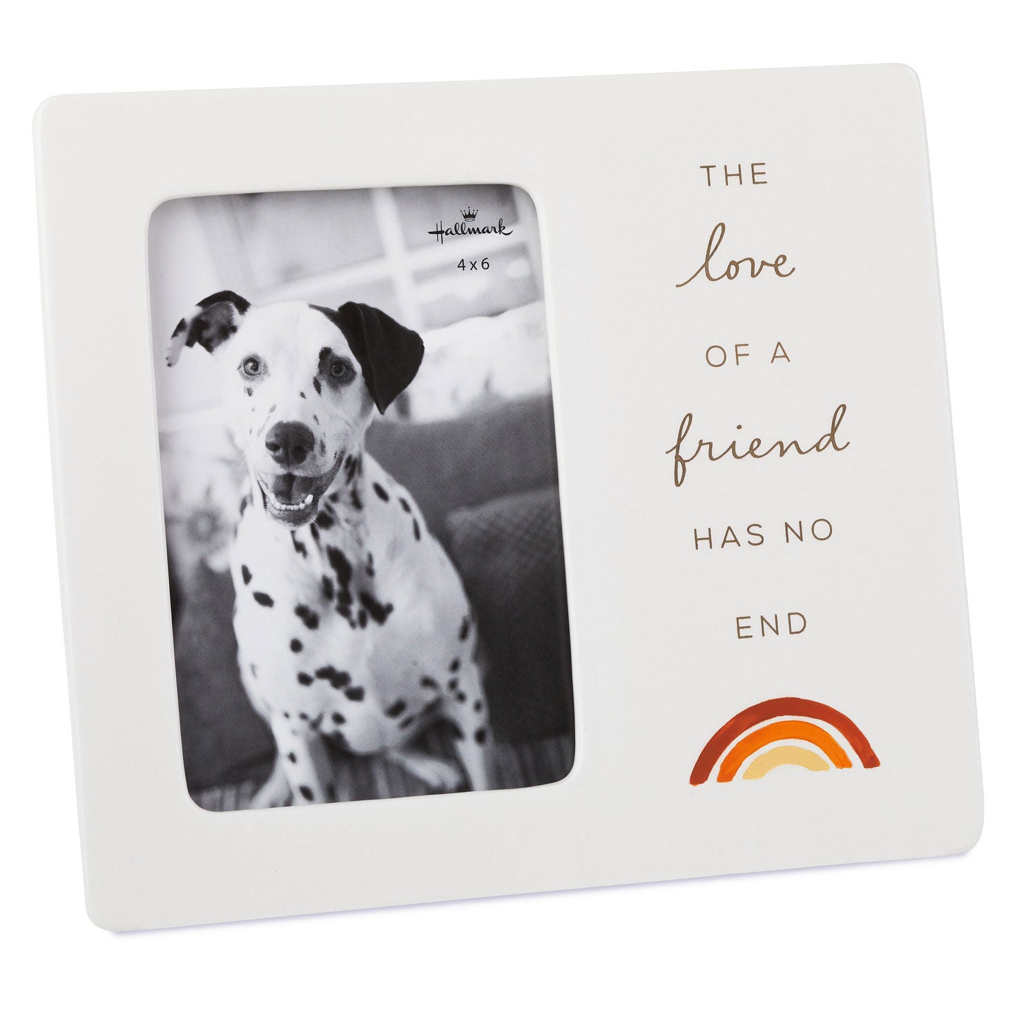 The Love of a Friend Pet Memory Picture Frame, 4x6 ceramic frame with rainbow design and heartfelt message, angled view.