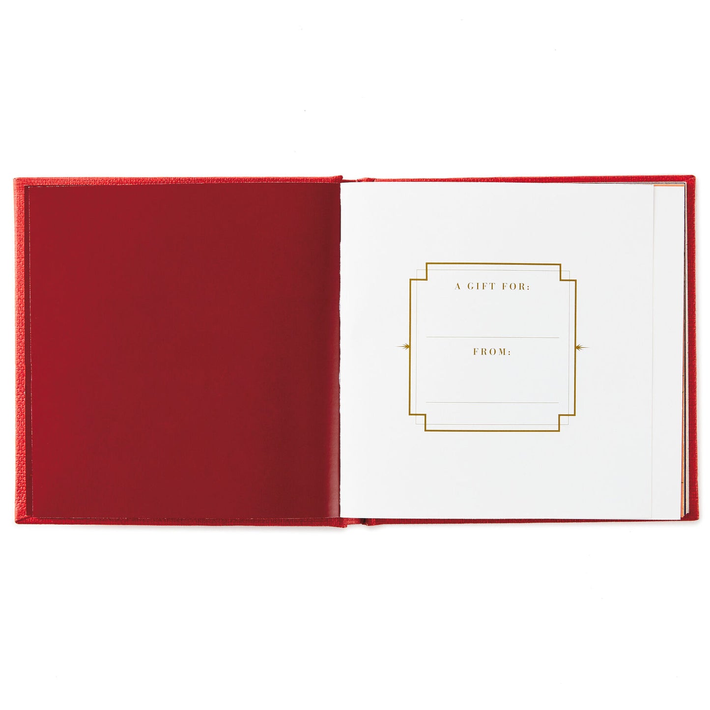 Why 50 Is Wonderful Book