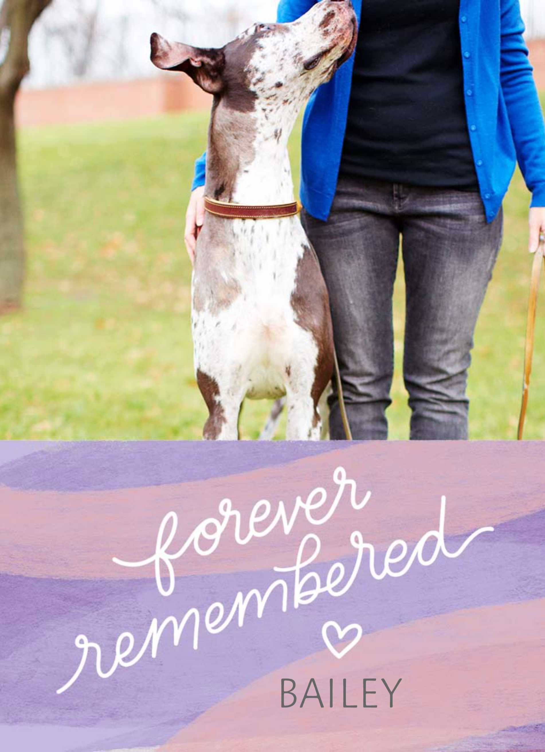 Sympathy Pet Remembered