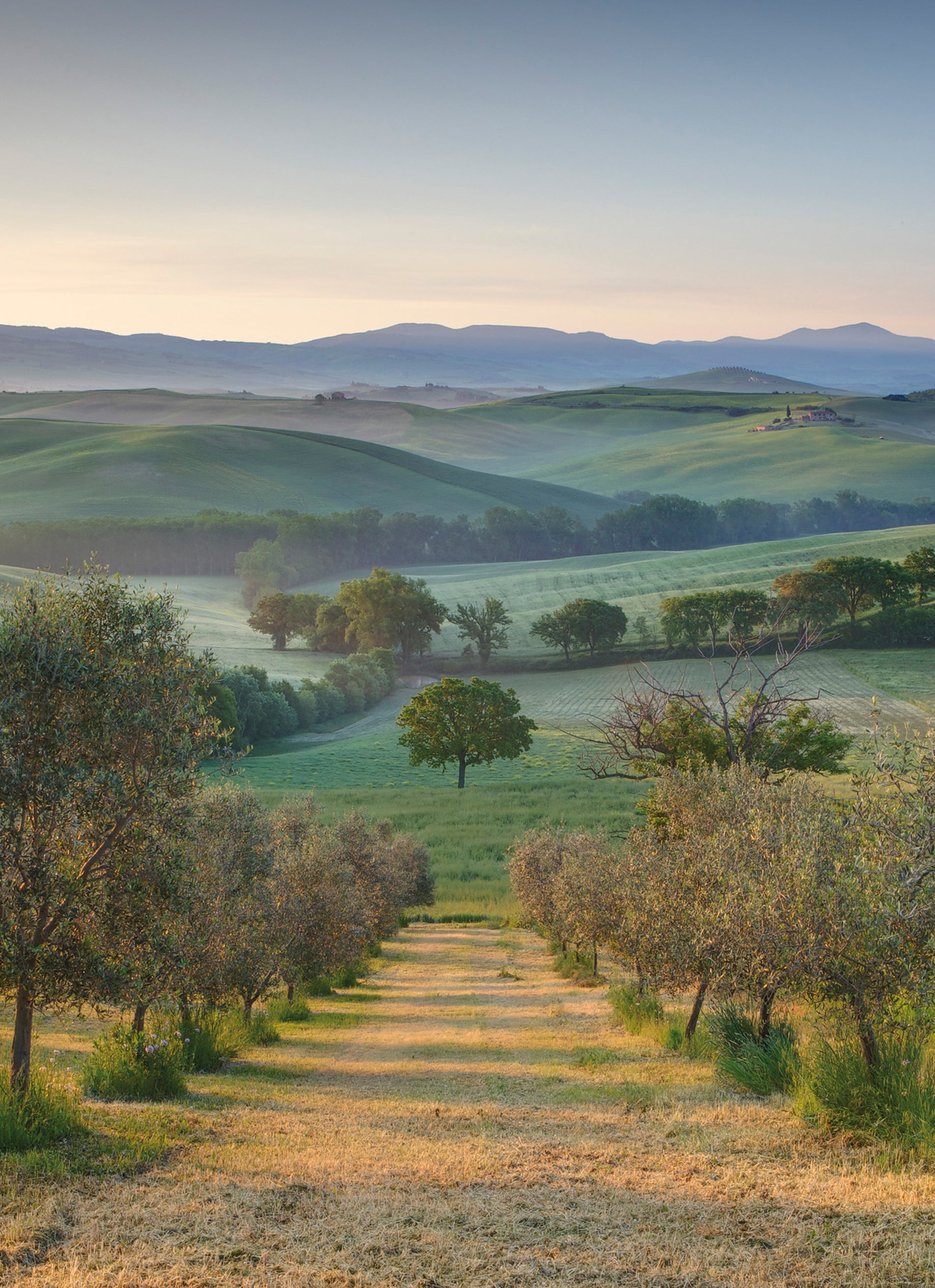 Traditional Scenic Countryside