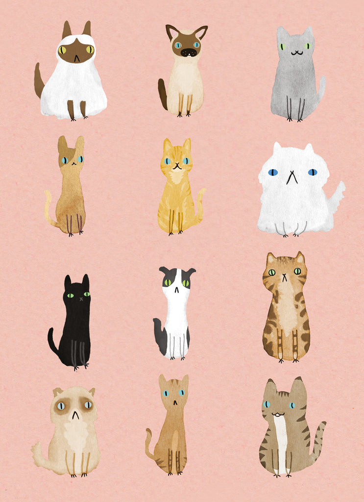 Cute Illustrated Pattern Cats