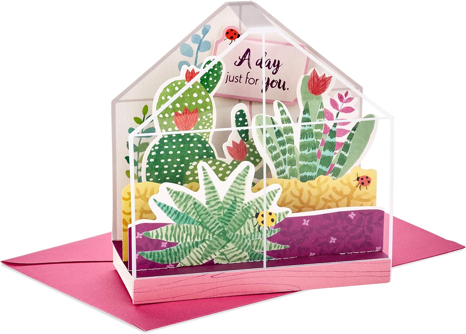 Hallmark Paper Wonder Displayable Pop Up Birthday Card or Mother's Day Card (Succulents), 5 x 7.2 inches, three-dimensional terrarium design.