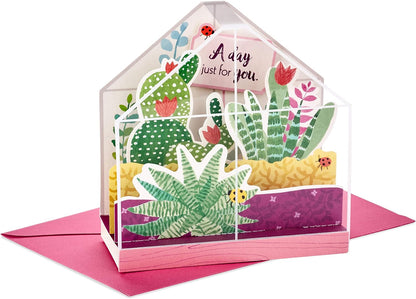 Hallmark Paper Wonder Displayable Pop Up Birthday Card or Mother's Day Card (Succulents), 5 x 7.2 inches, three-dimensional terrarium design.