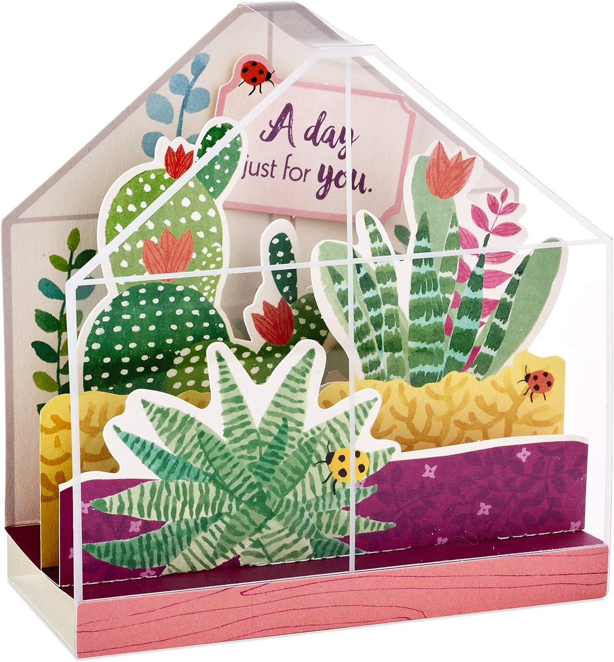 Hallmark Paper Wonder Displayable Pop Up Birthday Card or Mother's Day Card (Succulents),5 X 7.2 inches, featuring a colourful 3D terrarium design with succulents and a heartfelt tag.