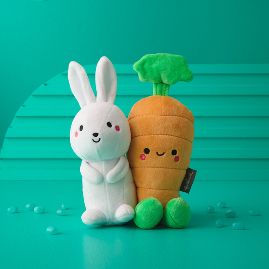 Bunny and Carrot Magnetic Plush – Better Together