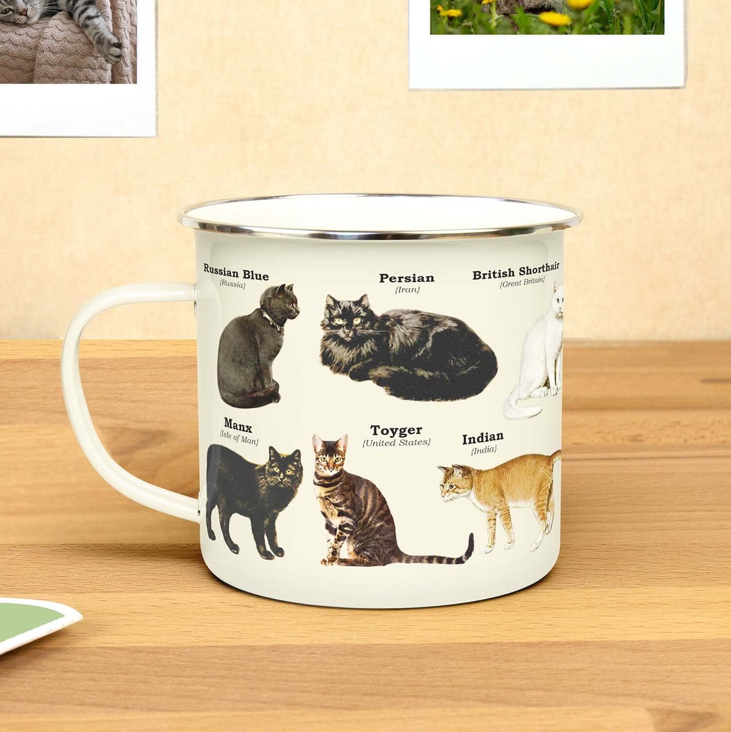 Gift Republic - Cats - Enamel Mug featuring various cat breeds, displayed with illustrated details on a wooden surface.