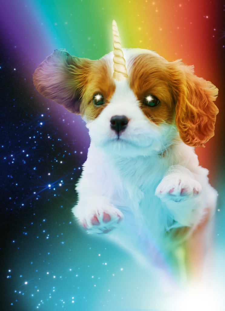 Funny Birthday Photographic Space Puppy Rainbow