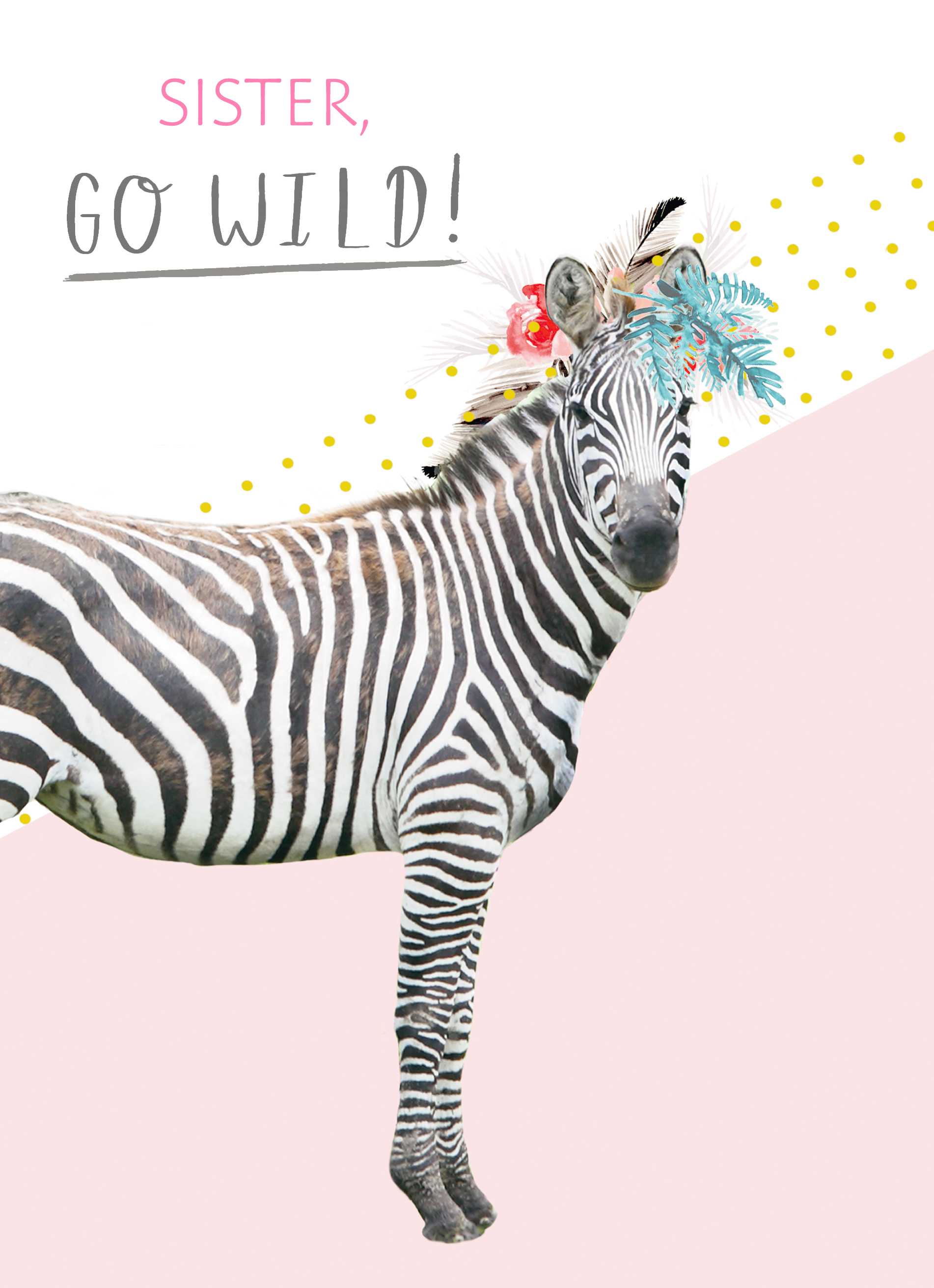 Sister Zebra Go Wild Contemporary