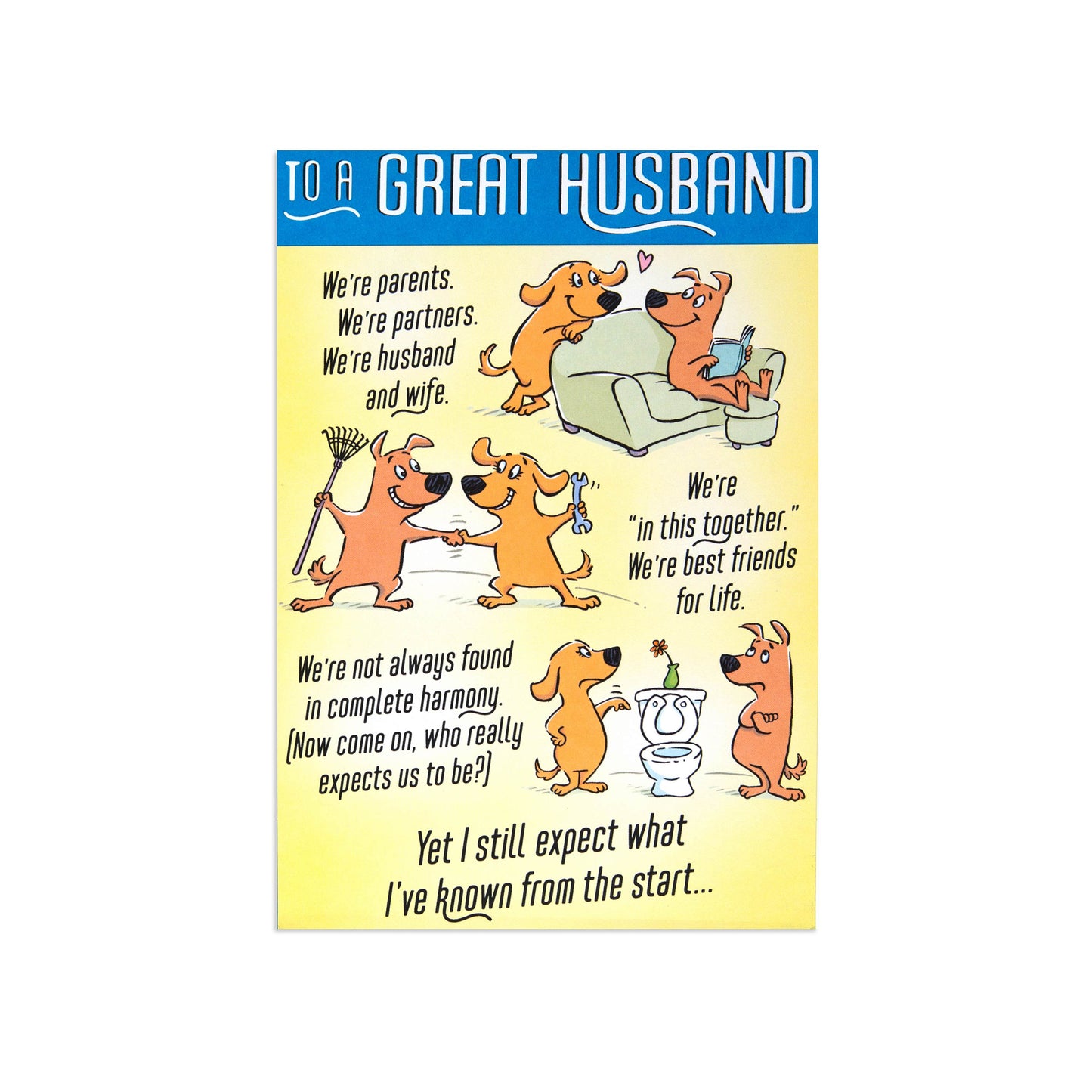 Fcc Husband funny dogs greeting card featuring playful cartoon dogs and humorous messages about partnership in a flat lay view.