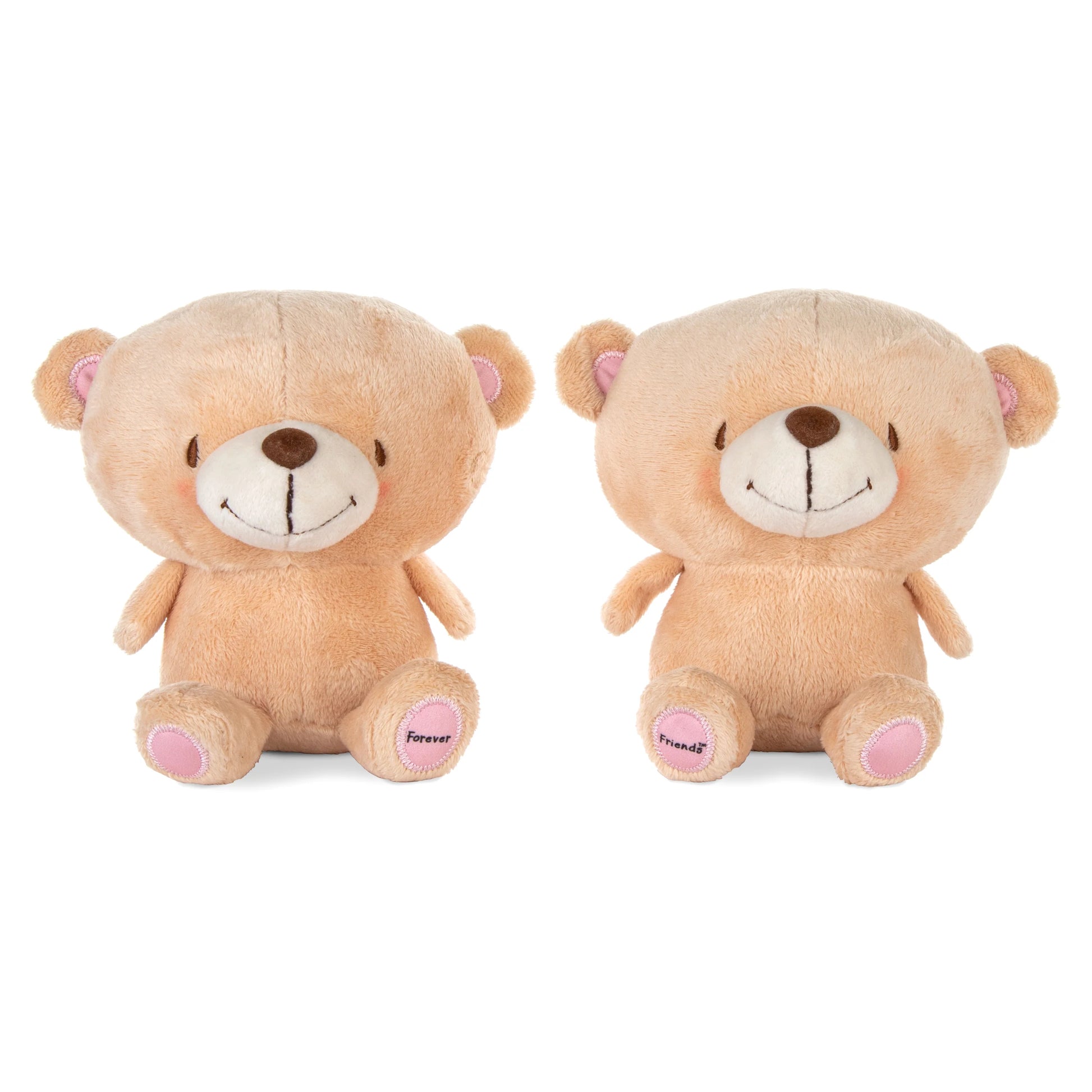 Forever Friends Better Together - Magnetic Plush Pair featuring two soft, adorable teddy bears with embroidered details and smiling faces.