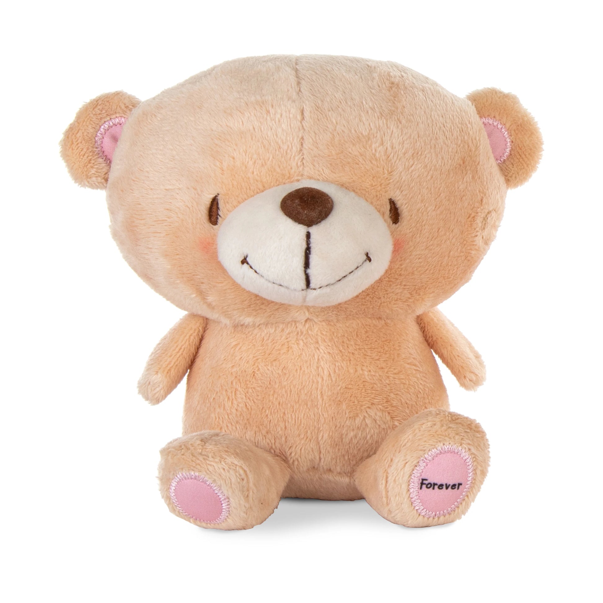 Forever Friends Better Together - Magnetic Plush Pair, soft teddy bear with embroidered details, front view, 23 cm tall.