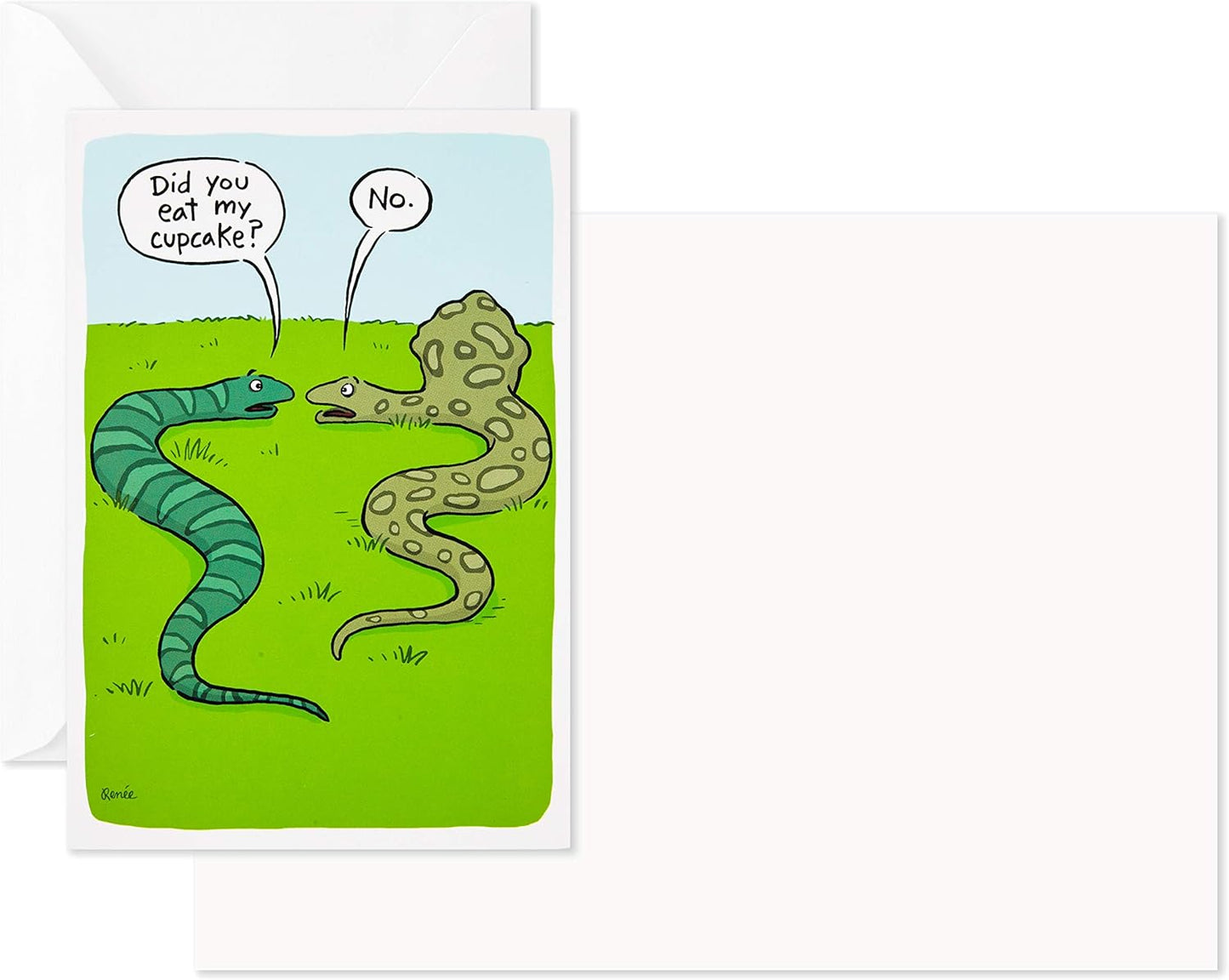 Hallmark Shoebox Funny Blank Cards Assortment featuring a cartoon snake dialogue on a birthday card, blank inside, close up view.