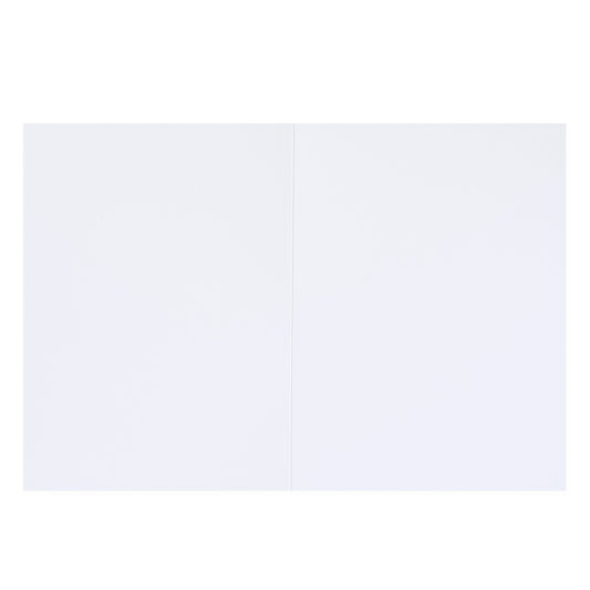 Hallmark Colossal Farewell Greeting Card - Hot Air Balloon blank inside view, showing ample space for personal messages.