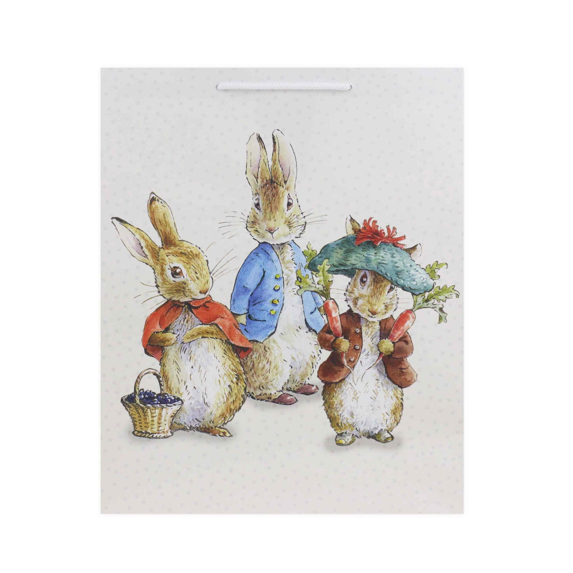Hallmark Peter Rabbit™ large gift bag featuring Peter Rabbit characters in colourful clothing with accessories, flat lay photographic style.