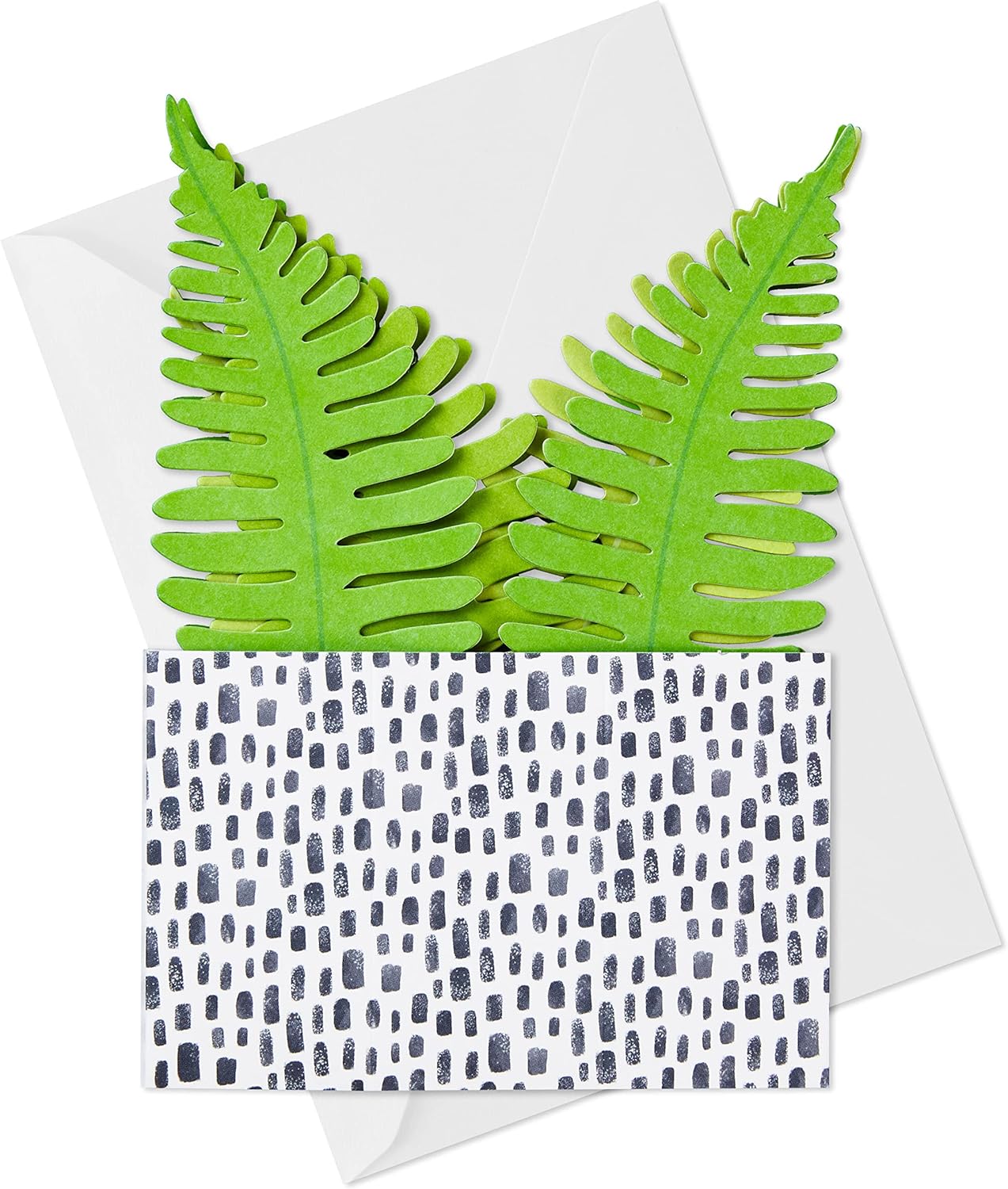 Hallmark Paper Wonder Pop Up Card for Birthday, Thinking of You, Congrats, Get Well, or Any Occasion (Potted Fern) with vibrant green fern details.