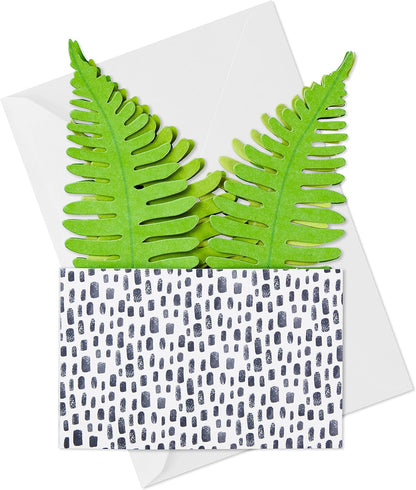 Hallmark Paper Wonder Pop Up Card for Birthday, Thinking of You, Congrats, Get Well, or Any Occasion (Potted Fern) with vibrant green fern details.