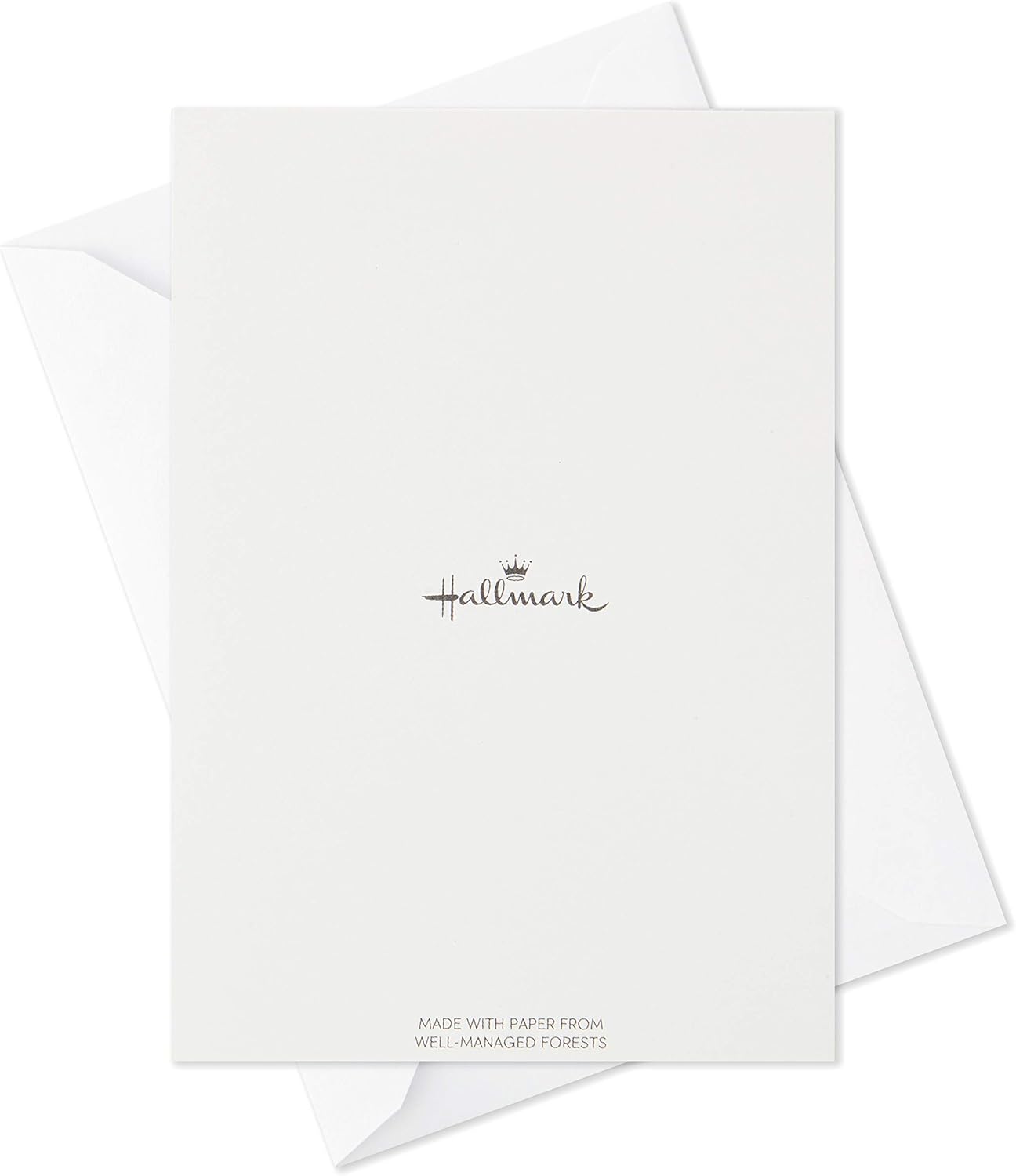 Hallmark Thinking of You, Encouragement, Get Well, Sympathy Cards Assortment (24 Assorted Cards and Envelopes) with a blank white card and envelope.