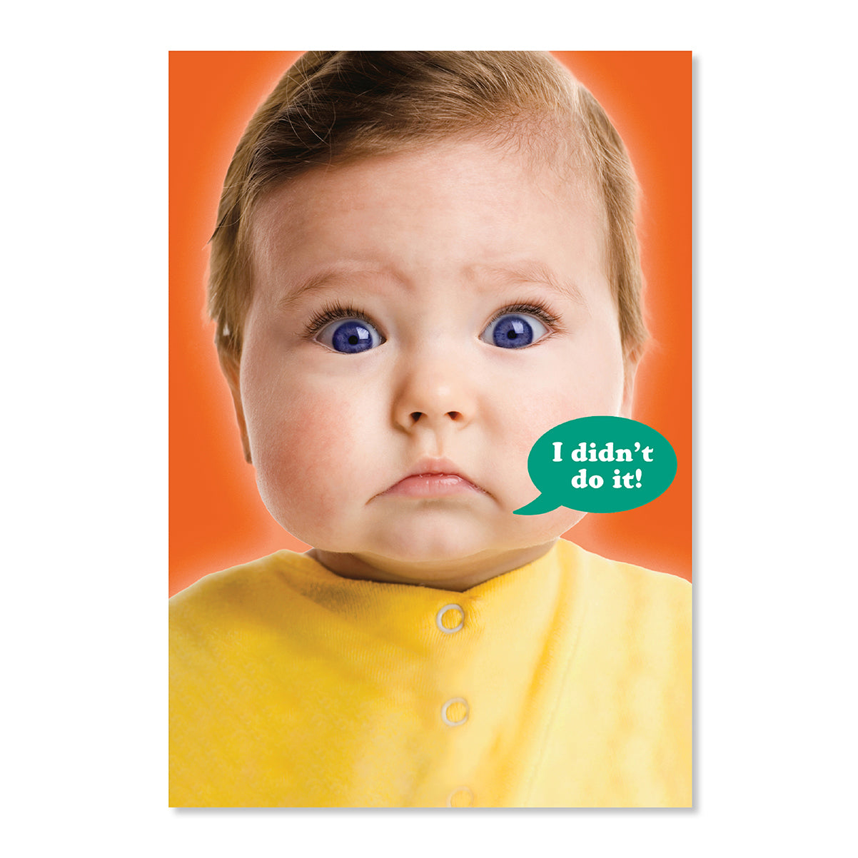 Hallmark Father's Day Card - Didn't Do It!
