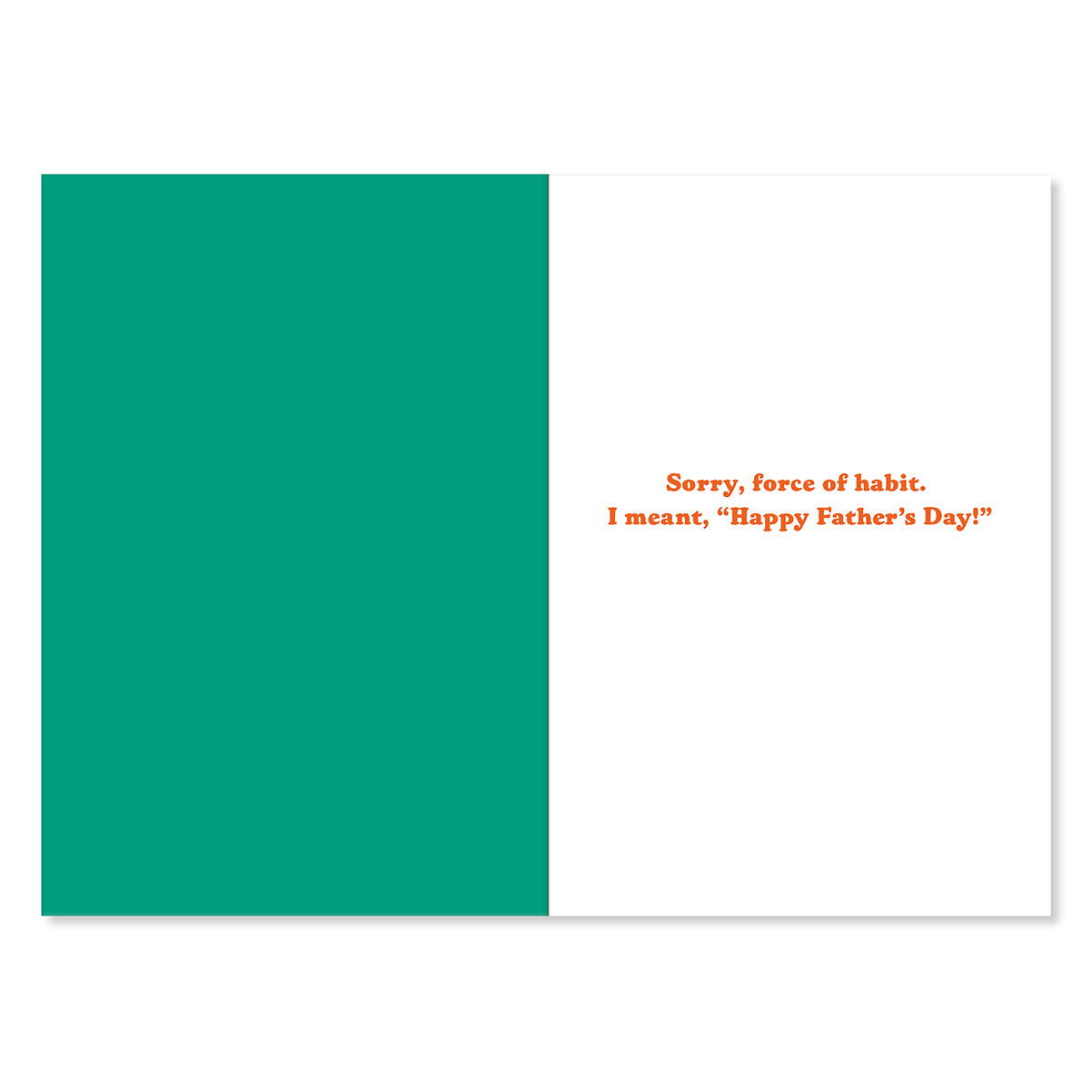 Hallmark Father's Day Card - Didn't Do It!