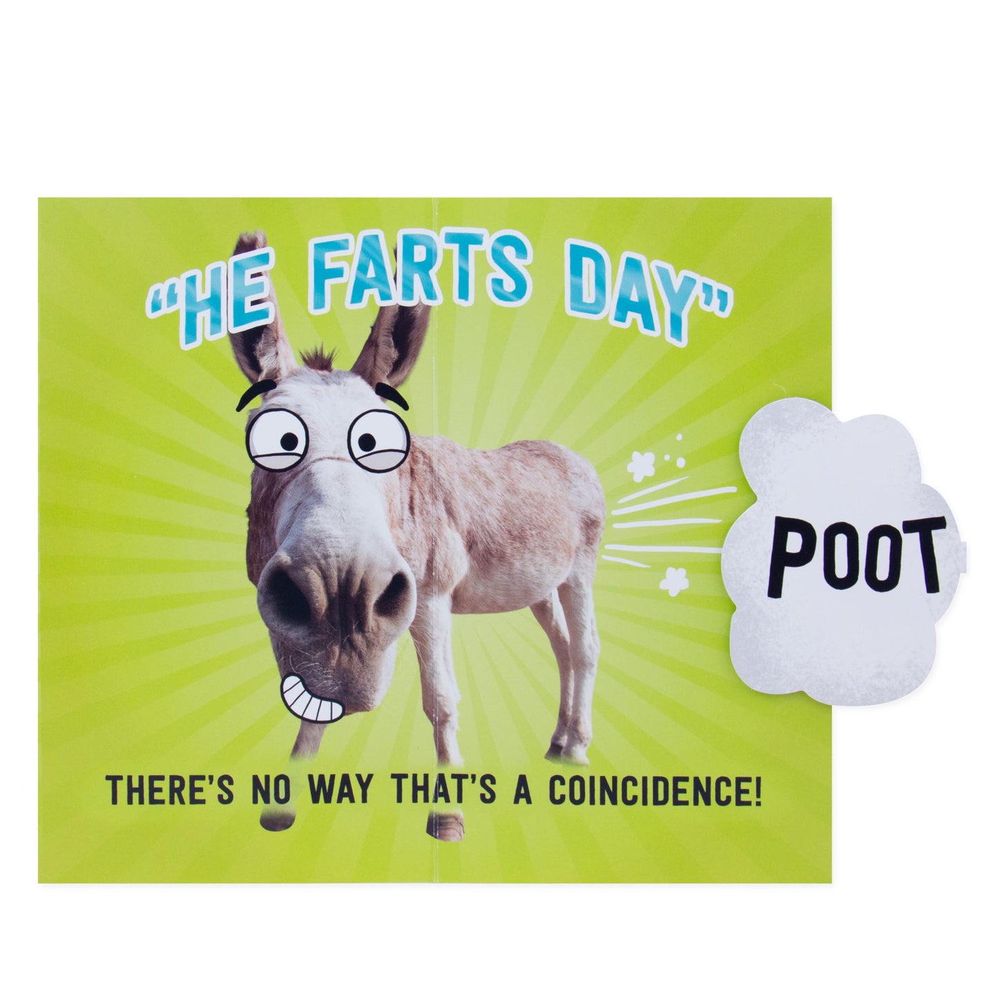 Hallmark Father's Day Card - He Farts Day