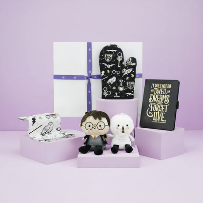 Harry Potter Magical Gift Hamper by Hallmark featuring plush toys, oven mitt, and notebook in a decorative box.
