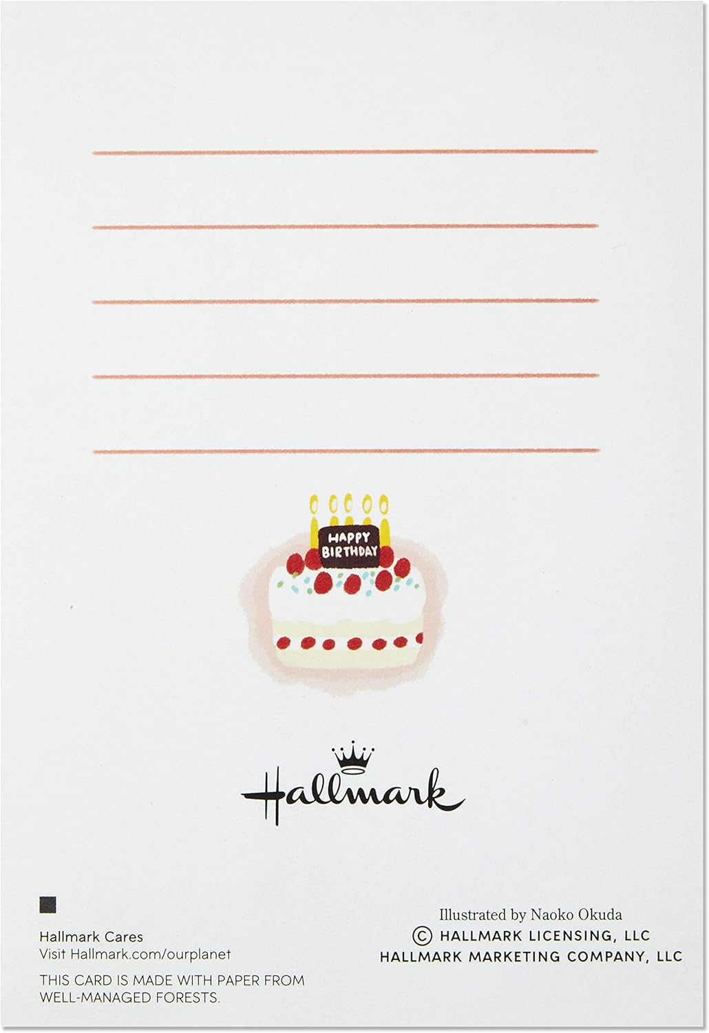 Hallmark Pop Up Birthday Card (Cat and Friend with Birthday Cake) back design featuring a blank lined area and colourful cake illustration.