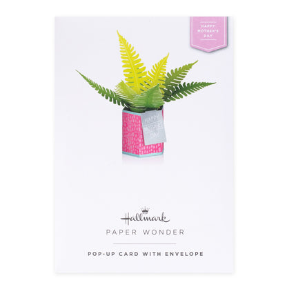Hallmark Mother's Day Card - Paper Wonder Pop-up Happy Mother's Day featuring a paper fern in a pink vase, flat lay design with a printed envelope.
