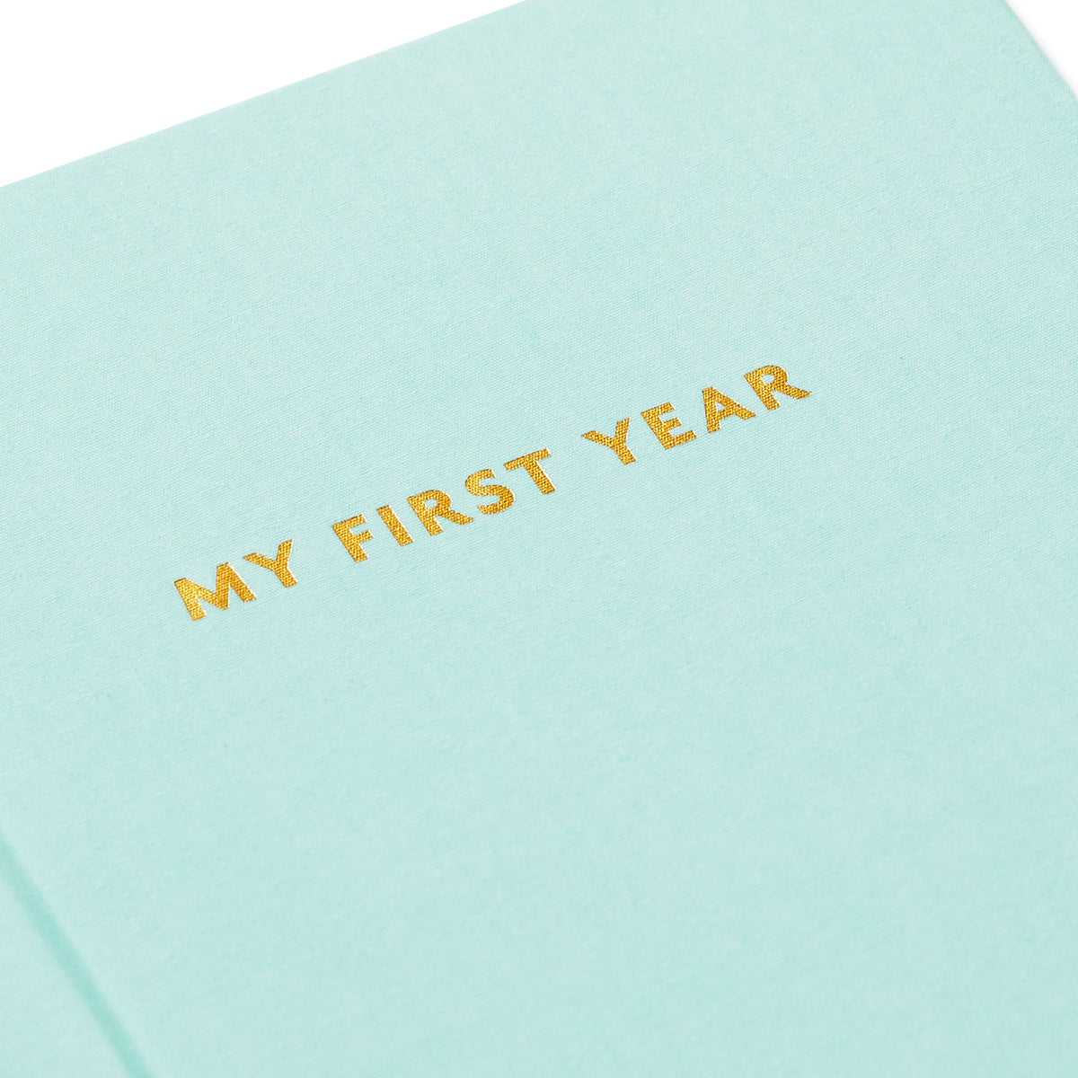 My First Year Baby Book - Blue, close-up of embossed gold lettering on a mint green cover.