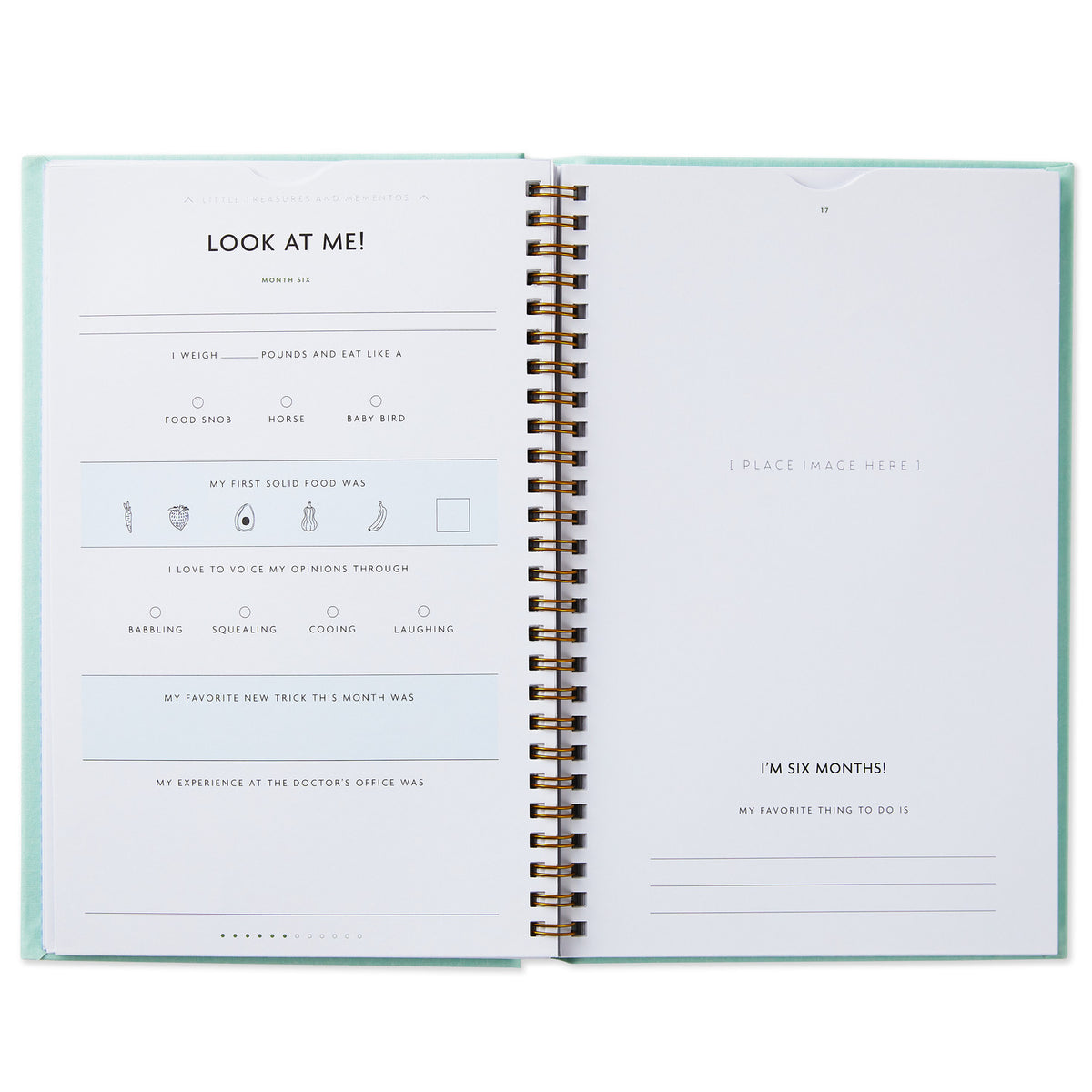 My First Year Baby Book - Blue open page layout with journal prompts and writing spaces for baby milestones and memories.