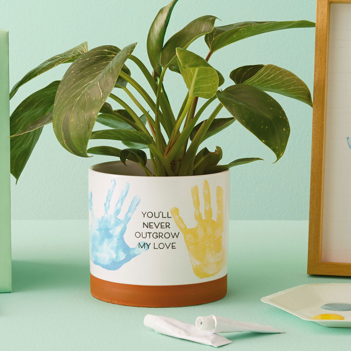 Never Outgrow My Love Planter Handprint Kit with green plant, featuring colourful handprints and a ceramic design, flat lay view.