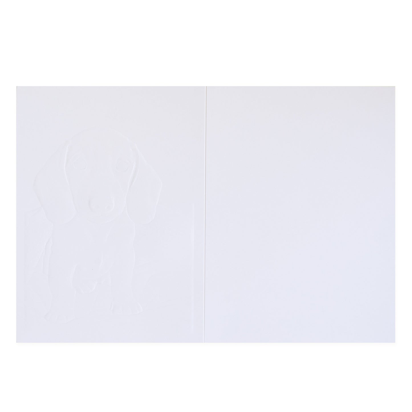 Hallmark Colossal Farewell Greeting Card - Cute Dog, blank inside with embossed puppy design, suitable for personal messages.