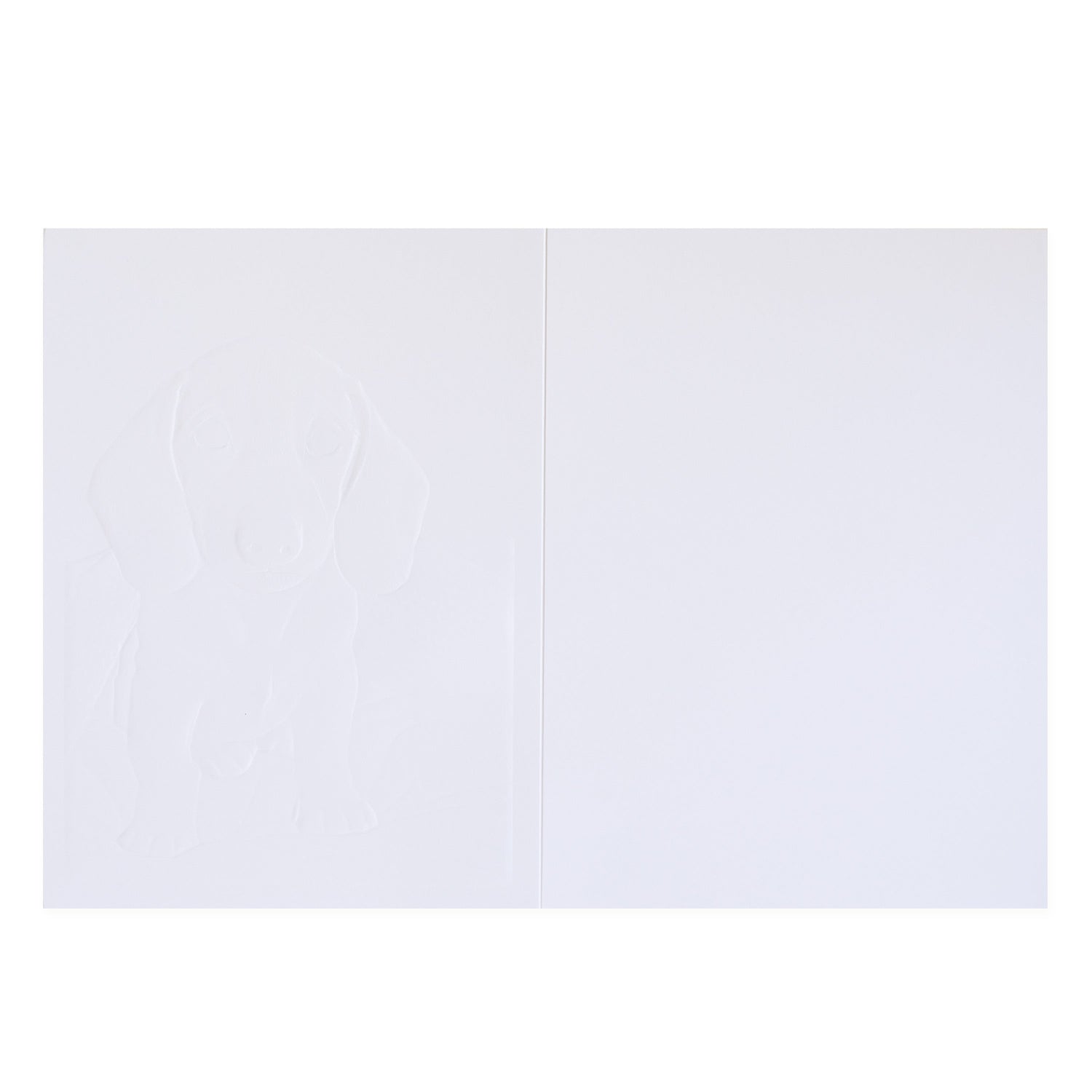 Hallmark Colossal Farewell Greeting Card - Cute Dog, blank inside with embossed puppy design, suitable for personal messages.
