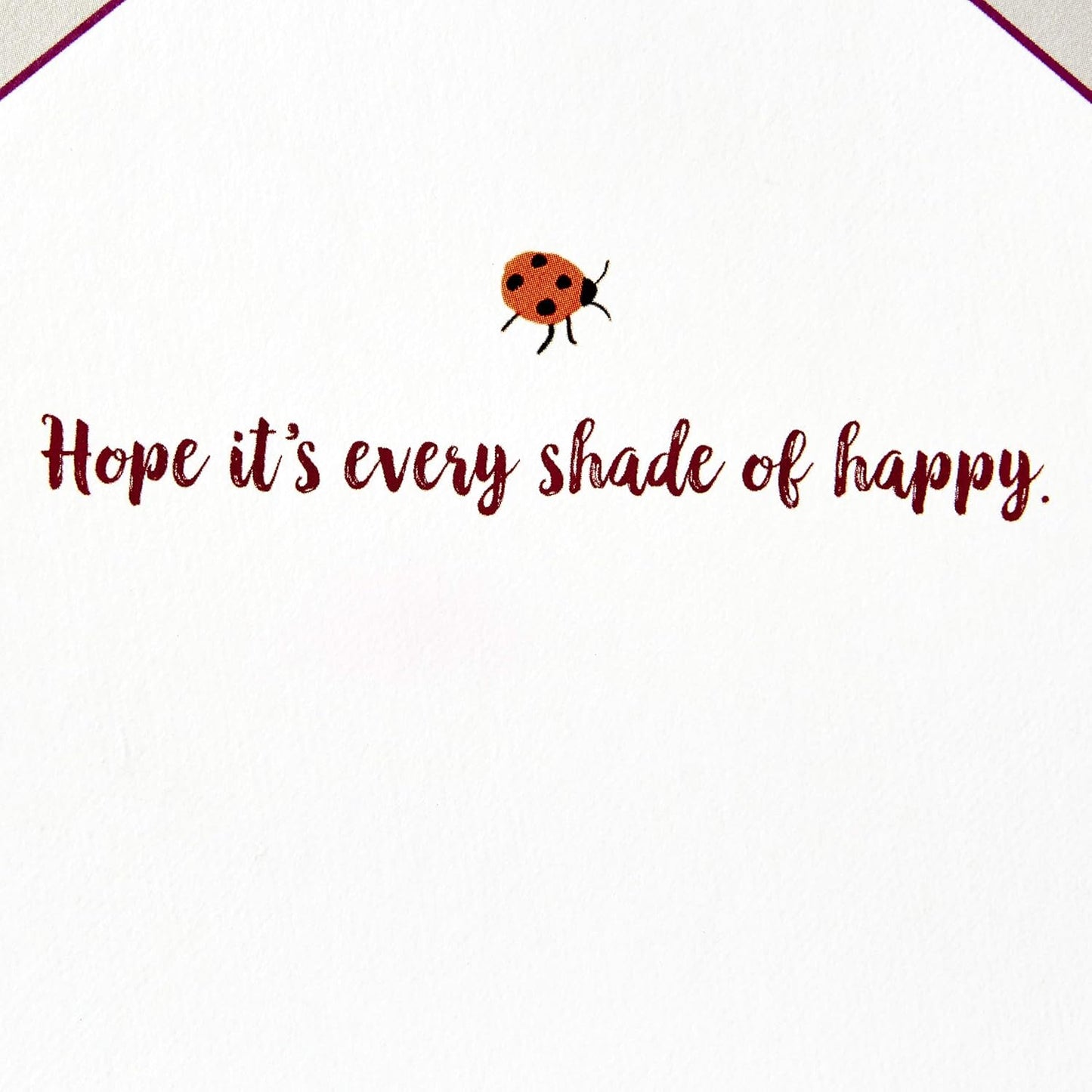 Hallmark Paper Wonder Displayable Pop Up Birthday Card or Mother's Day Card (Succulents),5 X 7. 2 inches,599RZW1015 detail showing interior message Hope it's every shade of happy with ladybird illustration.