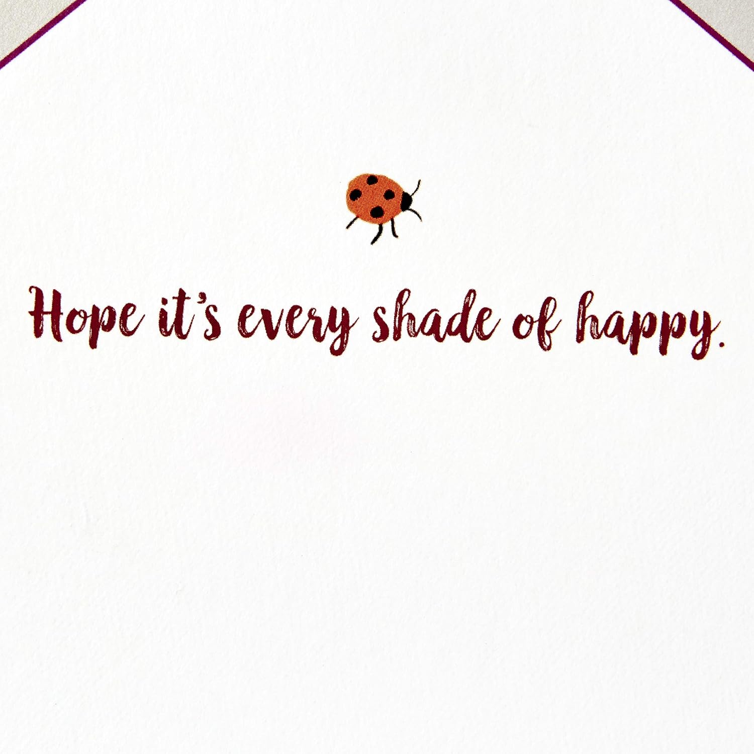 Hallmark Paper Wonder Displayable Pop Up Birthday Card or Mother's Day Card (Succulents),5 X 7. 2 inches,599RZW1015 detail showing interior message Hope it's every shade of happy with ladybird illustration.