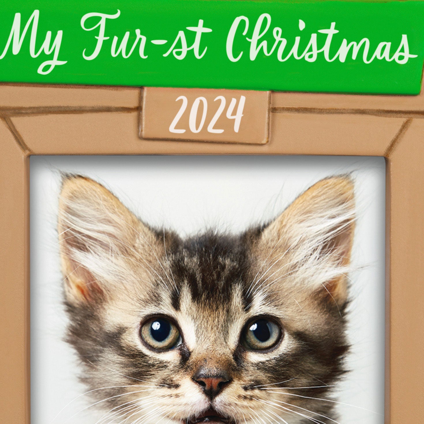 Pet's Fur-st Christmas Photo Frame — Hallmark Keepsake Christmas Ornament featuring a cute kitten close up with bright eyes.