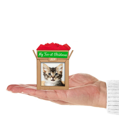 Pet's Fur-st Christmas Photo Frame — Hallmark Keepsake Christmas Ornament in hand, featuring a cute kitten photo with a red tissue top.