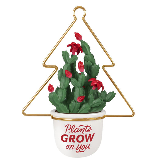Plants Grow On You — 2025 Hallmark Keepsake Christmas Ornament, cactus with red blooms, displayed in a white pot with a gold hanger.