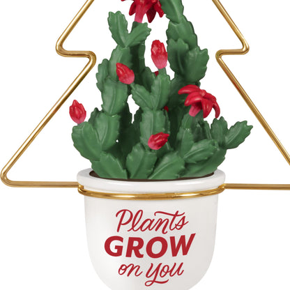 Plants Grow On You — 2025 Hallmark Keepsake Christmas Ornament featuring a Christmas cactus in a white pot with a gold hanger.