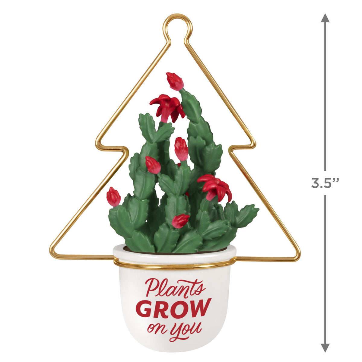 Plants Grow On You — 2025 Hallmark Keepsake Christmas Ornament, botanical design with red cactus blooms in white pot, gold wire tree hanger, 8.9 cm tall.